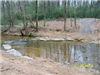 Creekbed Restoration